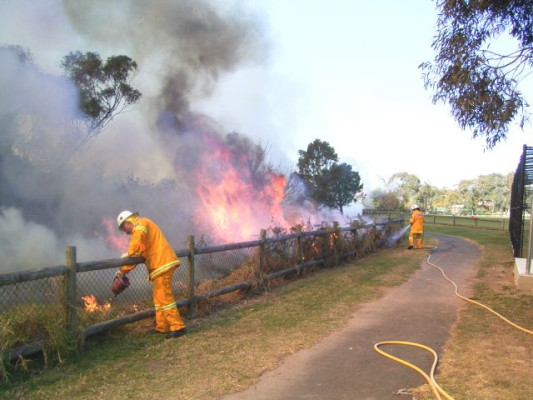 Back burning in semi-urban Wahroonga during a 2005 fire. 