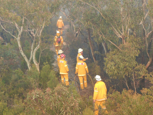 The pains-taking process of "blacking out" after bush fires involves a  careful search for pockets of flame which could cause a major re-ignition  if not dealt with.