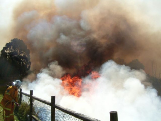 RFS brigades regularly travel from their home base to assist others at major fires - this one at Wahroonga, in 2005.